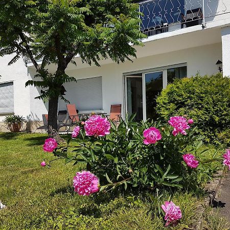 Rauszeit-Toroni Apartamento Niedenstein Exterior foto